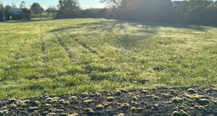 Châteauroux Terrain à bâtir - 2419309-11377annonce120260205dT4GA.jpeg Maisons Open