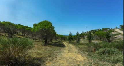 Narbonne Terrain à bâtir - 2473385-11782annonce220260401duL3W.jpeg Maisons Open