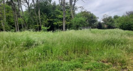 Bruges Terrain à bâtir - 2474003-10509annonce1202604011PyFJ.jpeg Maisons Open