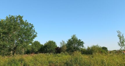 Montpon-Ménestérol Terrain à bâtir - 2473980-5020annonce120260401232Og.jpeg Maisons Open