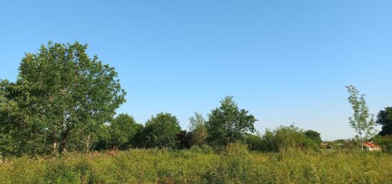 Terrain à bâtir à Montpon-Ménestérol, Nouvelle-Aquitaine