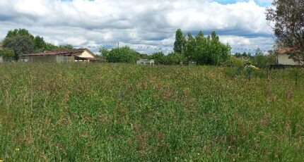 Montpon-Ménestérol Terrain à bâtir - 2473950-5020annonce120260401dwlwo.jpeg Maisons Open