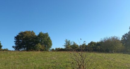 Montpon-Ménestérol Terrain à bâtir - 2473962-5020annonce120260401ohRtg.jpeg Maisons Open