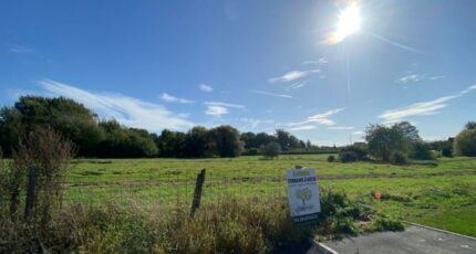 Tourmignies Terrain à bâtir - 2442954-11030annonce120260227Joh53.jpeg Maisons Open