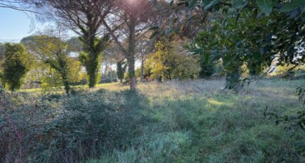 Langon Terrain à bâtir - 2473311-10677annonce12026040104GAf.jpeg Maisons Open