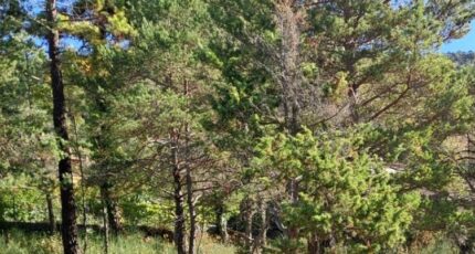 Levens Terrain à bâtir - 2474171-10140annonce220260402LB5Zb.jpeg Maisons Open