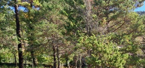 Terrain à bâtir à , Alpes-Maritimes