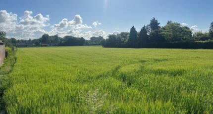 Labourse Terrain à bâtir - 2474185-10222annonce120260402bwqnh.jpeg Maisons Open