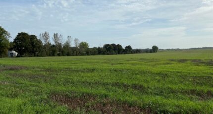 Agnez-lès-Duisans Terrain à bâtir - 2473910-5719annonce120260401hWLqv.jpeg Maisons Open