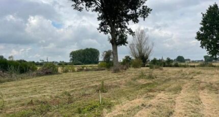 Lorgies Terrain à bâtir - 2472988-11030annonce220260401QieBE.jpeg Maisons Open