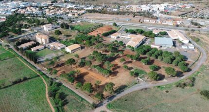 Agde Terrain à bâtir - 2474180-10896annonce420260402pp99G.jpeg Maisons Open