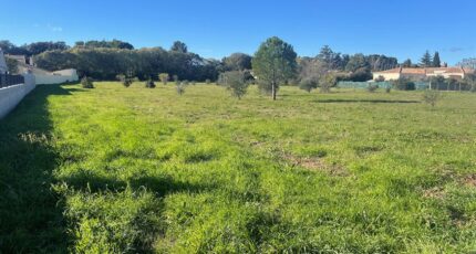 Canet Terrain à bâtir - 2474237-10896annonce320260402ZSPXN.jpeg Maisons Open