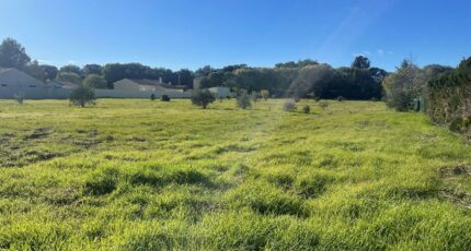 Canet Terrain à bâtir - 2474237-10896annonce420260402RKfyq.jpeg Maisons Open