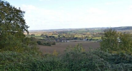 Duras Terrain à bâtir - 2417410-10776annonce2202602039fnBu.jpeg Maisons Open