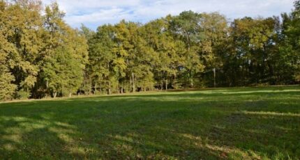 Duras Terrain à bâtir - 2417446-10776annonce120260203wRbM2.jpeg Maisons Open