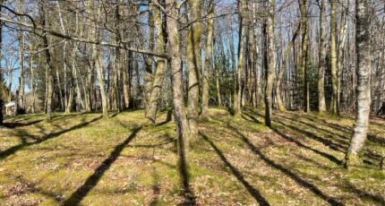 Ambazac Terrain à bâtir - 2474696-11804annonce120260402sBQnD.jpeg Maisons Open