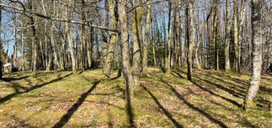 Terrain à bâtir à Ambazac, Nouvelle-Aquitaine