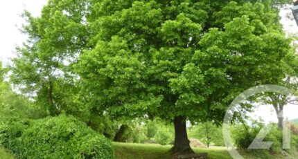 Laffite-Toupière Terrain à bâtir - 2443544-4594annonce420260227DDO47.jpeg Maisons Open