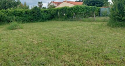 Fenouillet Terrain à bâtir - 2474217-5604annonce220260402HTqvs.jpeg Maisons Open