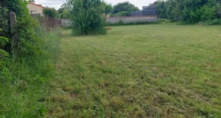 Fenouillet Terrain à bâtir - 2474217-5604annonce420260402chy5z.jpeg Maisons Open