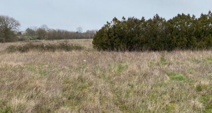 Pont-l'Abbé-d'Arnoult Terrain à bâtir - 2474878-11194annonce2202604025DWUJ.jpeg Maisons Open