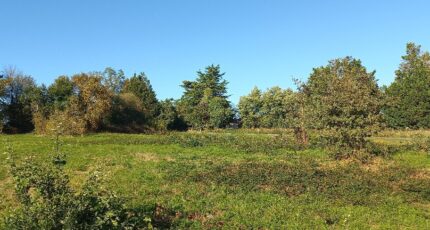 Saint-Rémy Terrain à bâtir - 2475016-5020annonce120260402h5GFy.jpeg Maisons Open