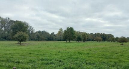 Ménesplet Terrain à bâtir - 2475050-5020annonce120260402RsuR2.jpeg Maisons Open