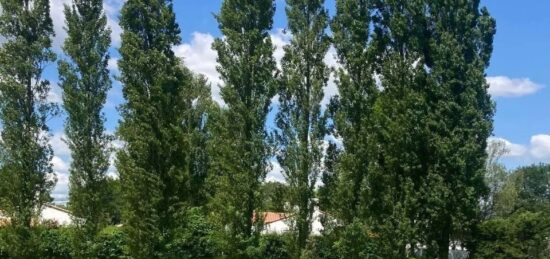 Terrain à bâtir à La Roche-sur-Yon, Pays de la Loire