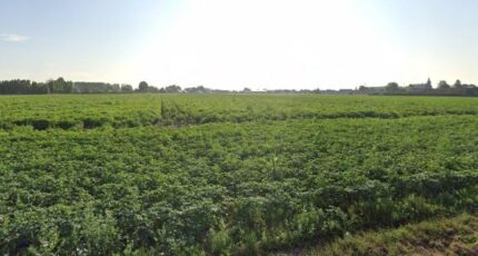 Râches Terrain à bâtir - 2474964-1807annonce220260402FSUG3.jpeg Maisons Open