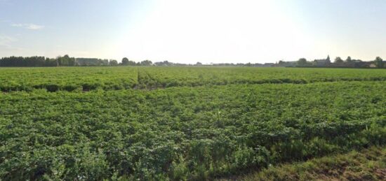 Terrain à bâtir à , Nord