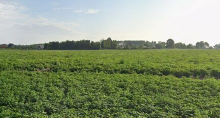 Râches Terrain à bâtir - 2475001-1807annonce220260402C9vhZ.jpeg Maisons Open