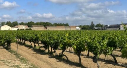 Canet Terrain à bâtir - 2475069-11782annonce120260402ZOJmE.jpeg Maisons Open