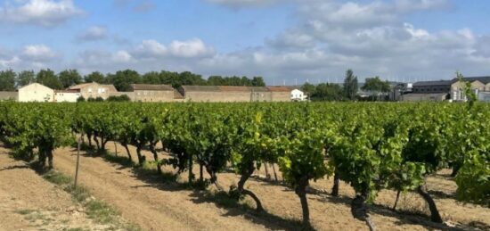 Terrain à bâtir à Canet, Occitanie