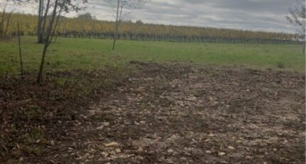 Langoiran Terrain à bâtir - 2441980-3601annonce120260226TQbxT.jpeg Maisons Open