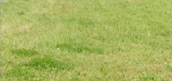 Terrain à bâtir à Portets, Nouvelle-Aquitaine