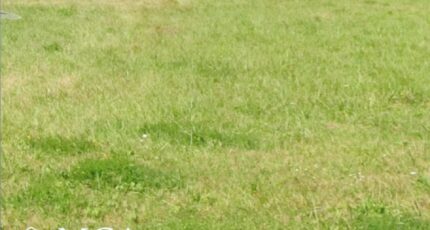 Biganos Terrain à bâtir - 2463600-3601annonce1202603217TGMd.jpeg Maisons Open