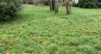 Croignon Terrain à bâtir - 2463646-3601annonce120260321zTFbu.jpeg Maisons Open