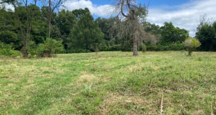 Camblanes-et-Meynac Terrain à bâtir - 2474313-10994annonce120260402K0vV9.jpeg Maisons Open