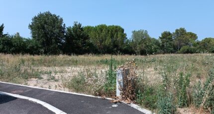 Le Triadou Terrain à bâtir - 2415553-3243annonce120260202EL9ZU.jpeg Maisons Open