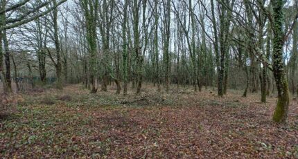 Saint-Médard-de-Mussidan Terrain à bâtir - 2475421-5020annonce1202604033BLBy.jpeg Maisons Open