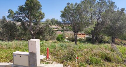 Narbonne Terrain à bâtir - 2475981-11782annonce1202604038RhTL.jpeg Maisons Open