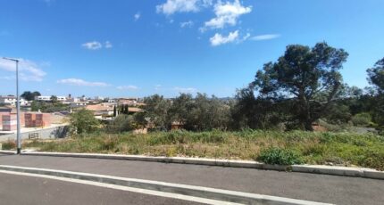 Narbonne Terrain à bâtir - 2475981-11782annonce22026040376LnP.jpeg Maisons Open