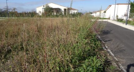 Grisolles Terrain à bâtir - 2475010-5604annonce120260402W46KL.jpeg Maisons Open