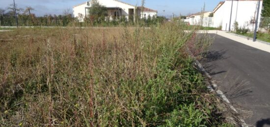 Terrain à bâtir à Grisolles, Occitanie