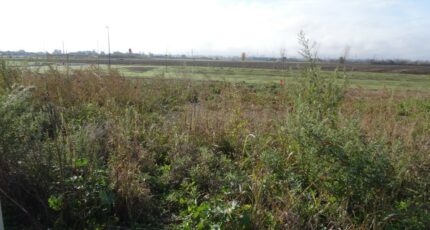 Grisolles Terrain à bâtir - 2475010-5604annonce220260402c1CNg.jpeg Maisons Open