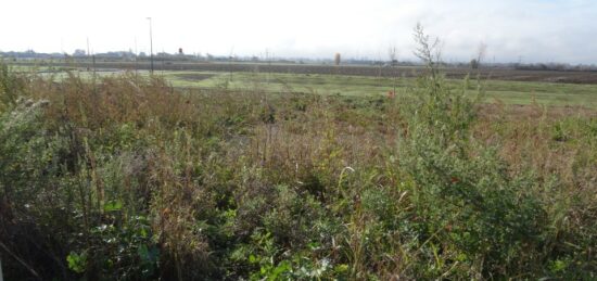 Terrain à bâtir à , Tarn-et-Garonne