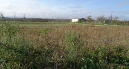 Grisolles Terrain à bâtir - 2475010-5604annonce320260402qAGzt.jpeg Maisons Open