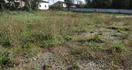 Grisolles Terrain à bâtir - 2475010-5604annonce420260402tT1Cb.jpeg Maisons Open