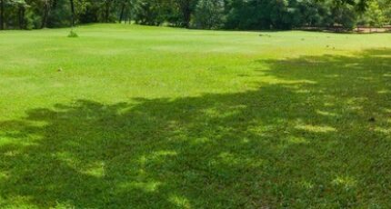 Saint-Gilles-Croix-de-Vie Terrain à bâtir - 2444790-7159annonce120260302hDXe9.jpeg Maisons Open