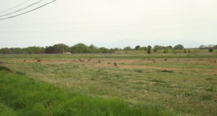 Perpignan Terrain à bâtir - 2476139-666annonce12026040333rpa.jpeg Maisons Open